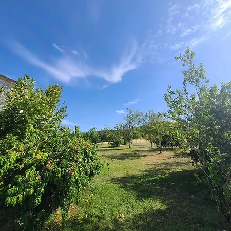 Naturaleza-gite Ecureuils *