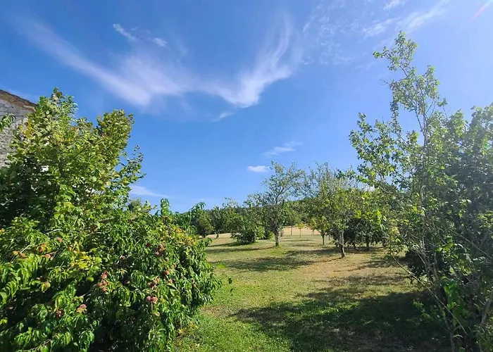 Naturaleza-gite Ecureuils *